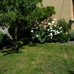 SAM_0394