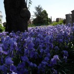 SAM_0401