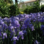 SAM_0402