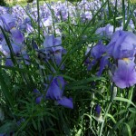 SAM_0404