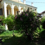 SAM_0410