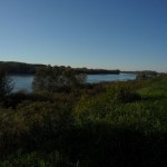 SAM_0582